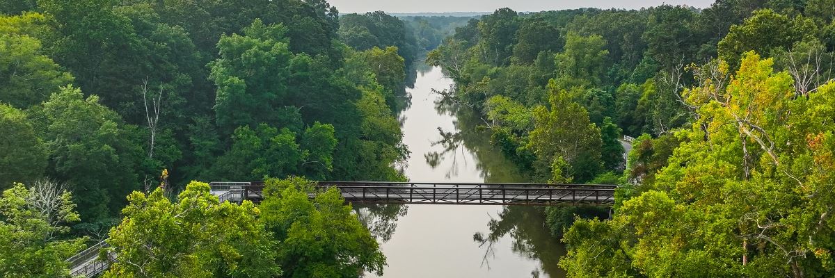 Neuse River running vertically with trees on wither side and a bridge crossing the river